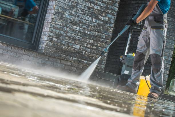 Best Roof Washing  in Gassville, AR
